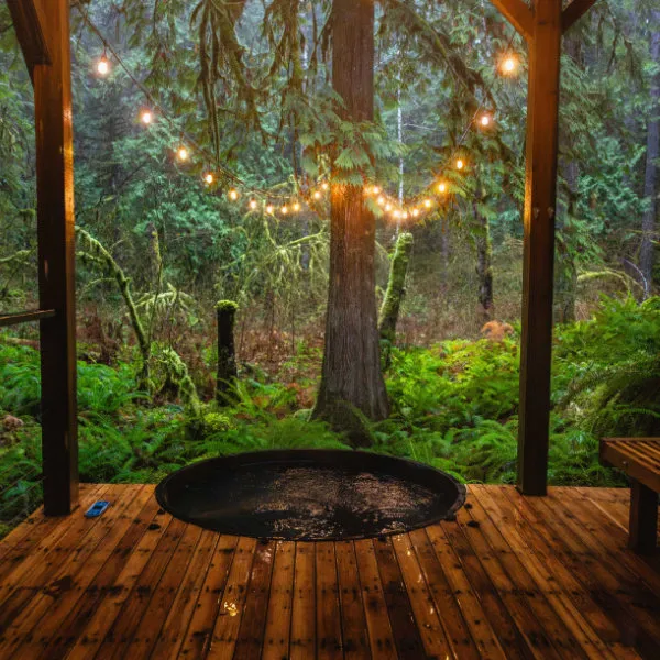 Surrounds & Shelters: Designing Your Sanctuary